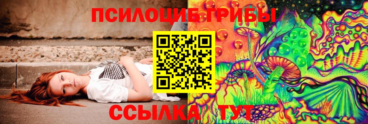 Псилоцибиновые грибы мухоморы  Вход с VPN  Галлюциногенные грибы Cubensis  где купить наркотик  Приморско-Ахтарск 